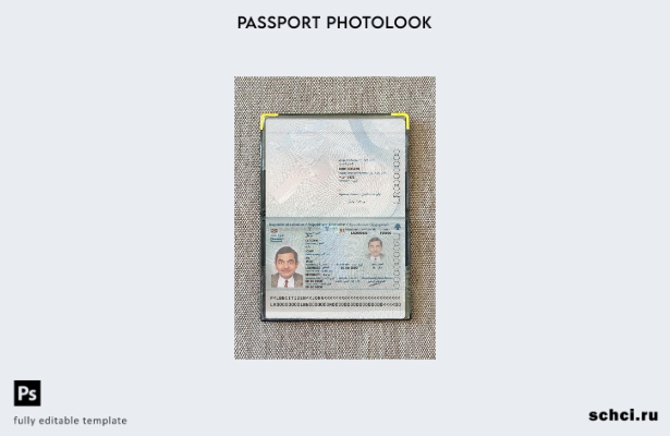 цифровая загрузка шаблона фотоизображения для паспорта Ливана 2